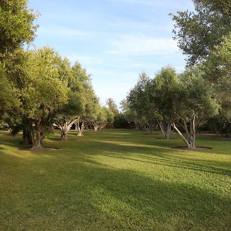Villa Dar Challa Marrakesz Zewnętrze zdjęcie